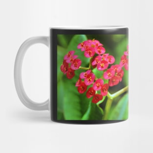 Crown of Thorns Mug